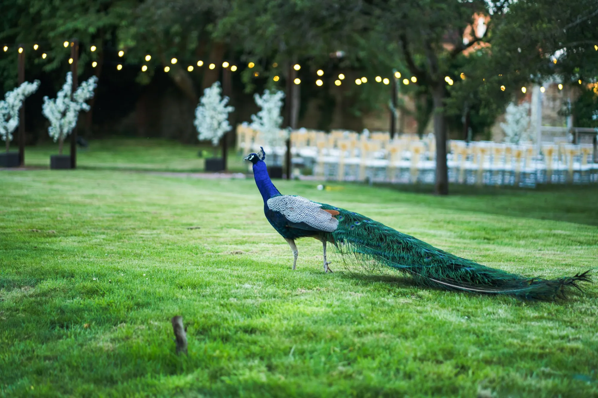 Guildford Manor Hotel, venue photograph
